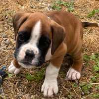 Athos